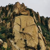 評論圖片 7