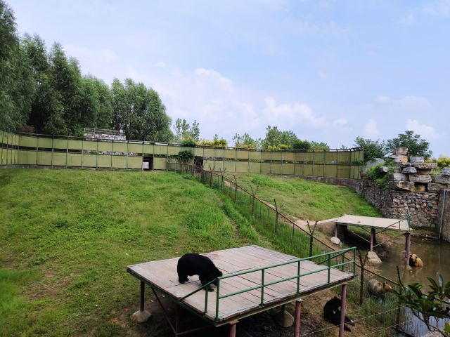 Yunhe Wan Forest Zoo
