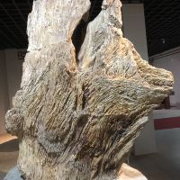 評論圖片 1