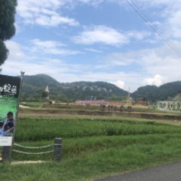 評論圖片 2
