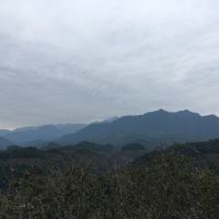 評論圖片 5