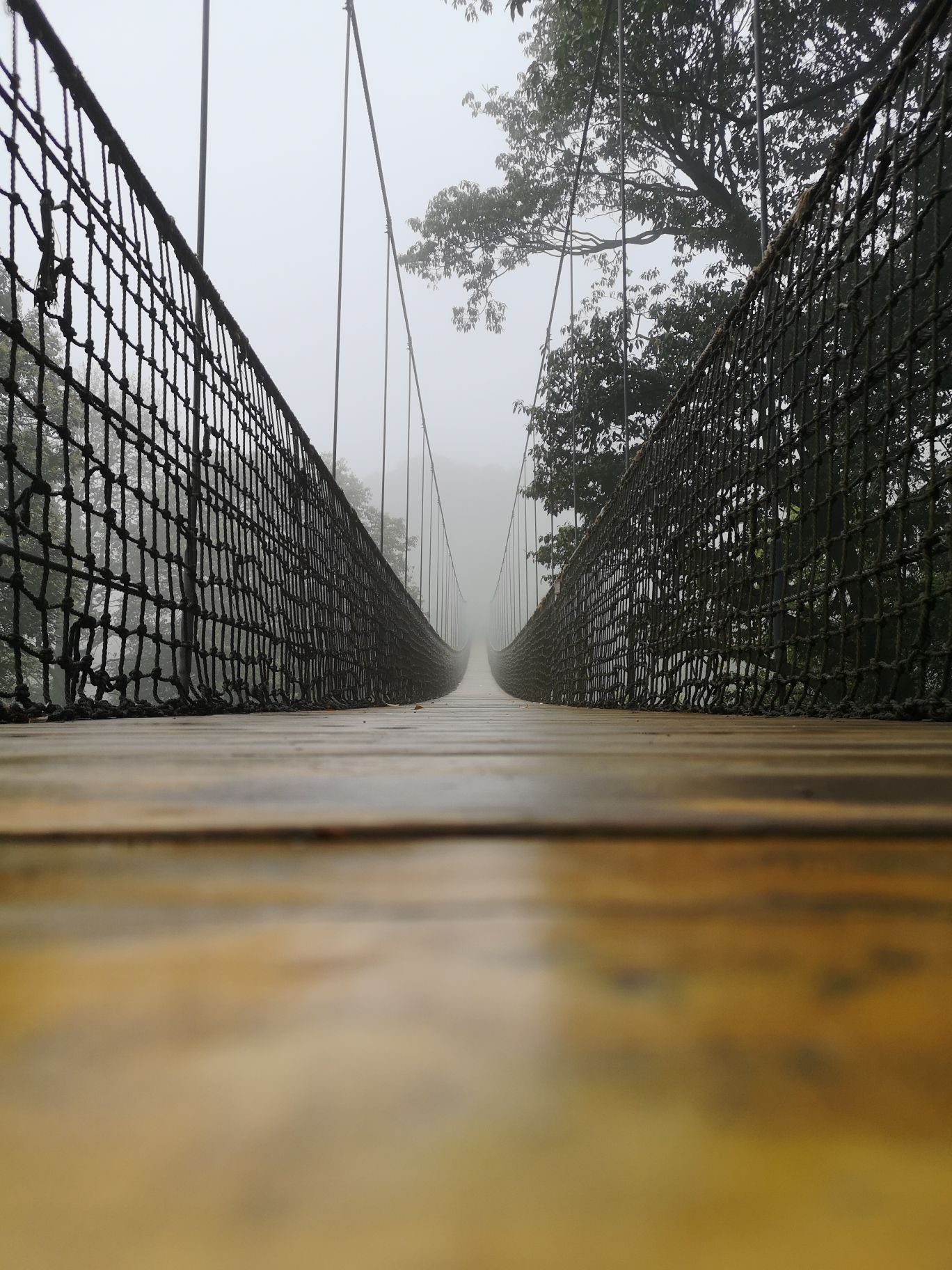 雅安 Mengding Mountain 評判 案内 トリップドットコム