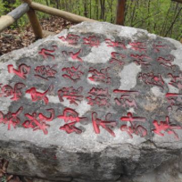 評論圖片 6