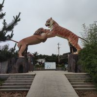 評論圖片 2
