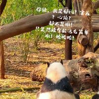 評論圖片 7