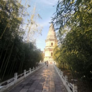 評論圖片 7