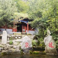評論圖片 3