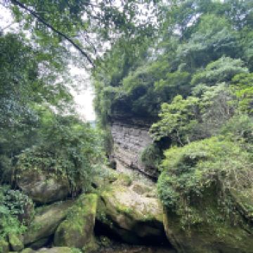 評論圖片 5