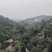 評論圖片 5