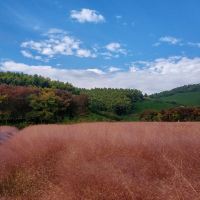 評論圖片 2