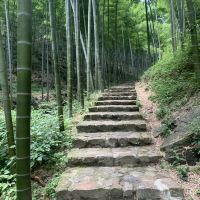 評論圖片 8