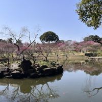 評論圖片 9