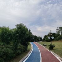 評論圖片 1