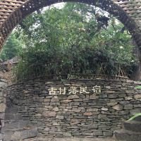 評論圖片 3