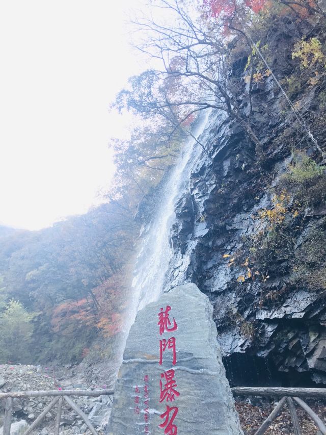 용도구