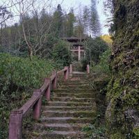 評論圖片 1