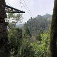 評論圖片 3