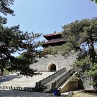 評論圖片 7