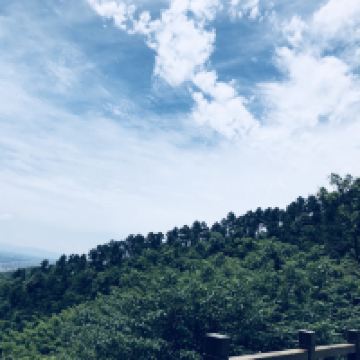 評論圖片 1