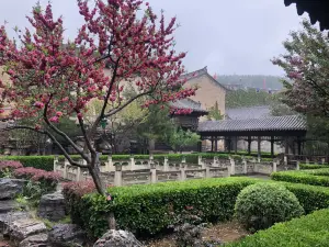 陽城の人気春旅におすすめ