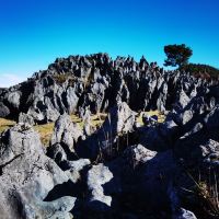 評論圖片 5