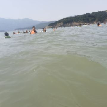 評論圖片 6