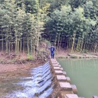 評論圖片 1