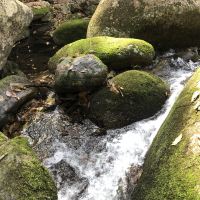 評論圖片 7