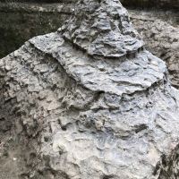 評論圖片 5