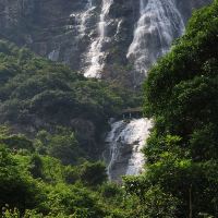 評論圖片 8