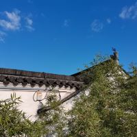 評論圖片 8