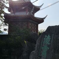評論圖片 5