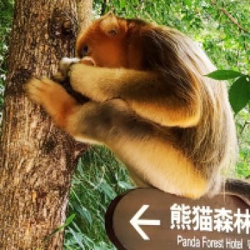評論圖片 6