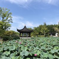 評論圖片 9