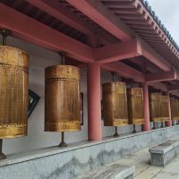 評論圖片 9