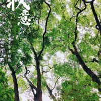 評論圖片 6