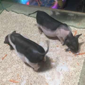 評論圖片 3