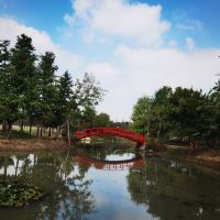 評論圖片 9