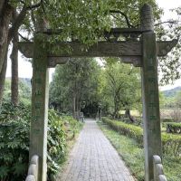 評論圖片 2