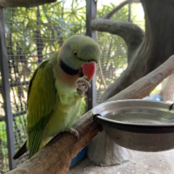 評論圖片 4
