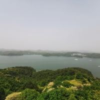 評論圖片 2