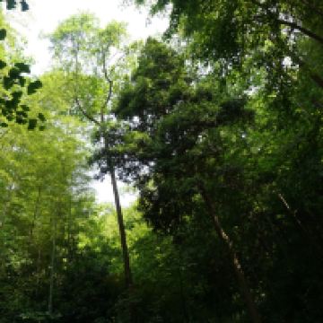 評論圖片 2
