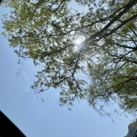 評論圖片 1