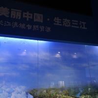評論圖片 1