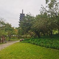 評論圖片 8