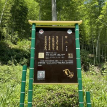 評論圖片 4