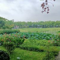 評論圖片 8