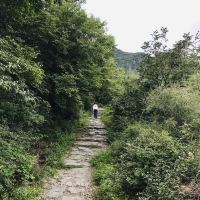 評論圖片 7