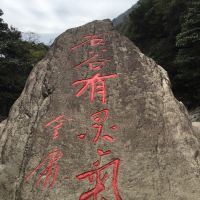 評論圖片 8