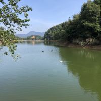 評論圖片 6